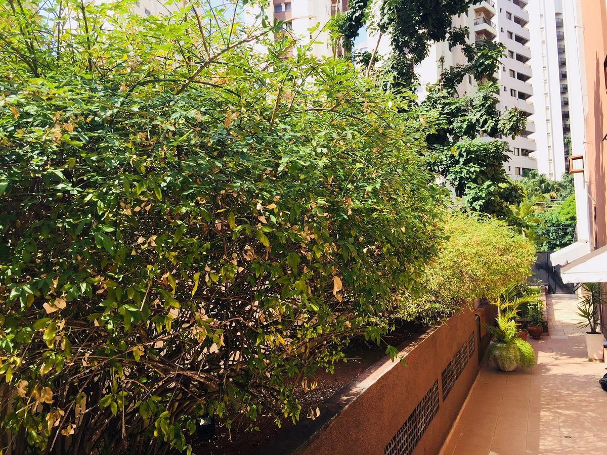 Appartamento Duplex Moema Ao Lado Do Parque San Paolo Esterno foto